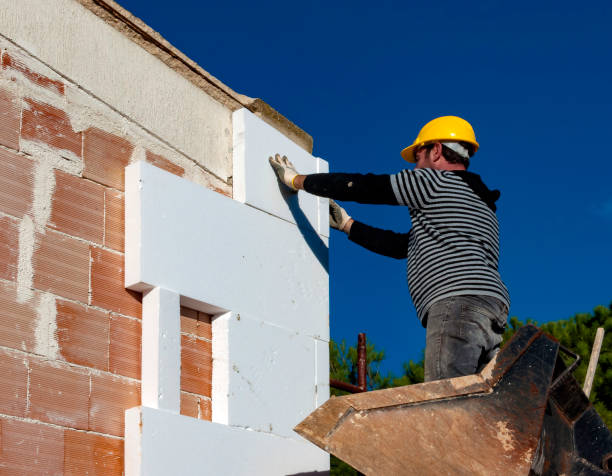 Best Commercial Insulation in Belle Isle, FL
