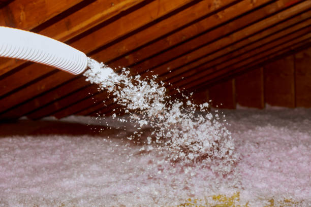 Best Residential Insulation in Belle Isle, FL