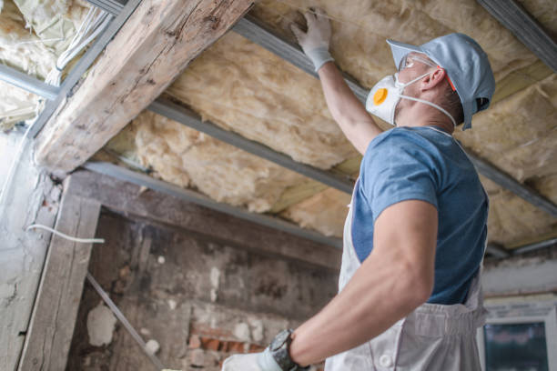 Best Insulation Installation Services in Belle Isle, FL